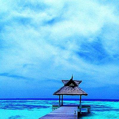 半岛·体育综合APP下载